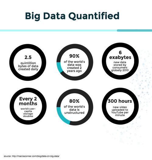 Untitled Infographic (13)